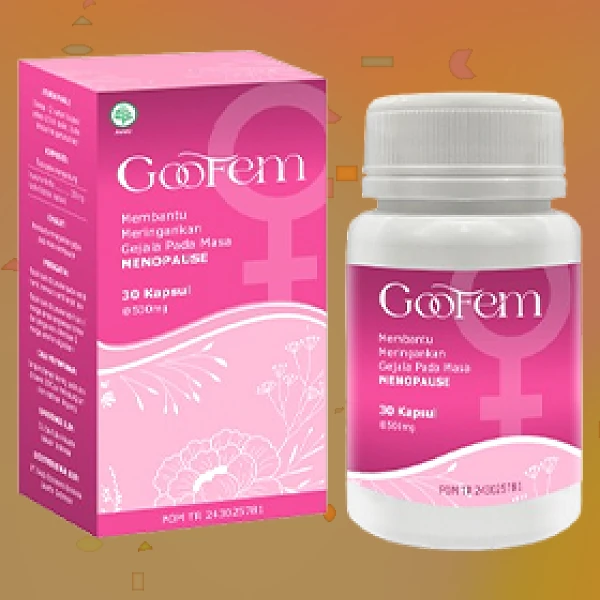 GOOFEM